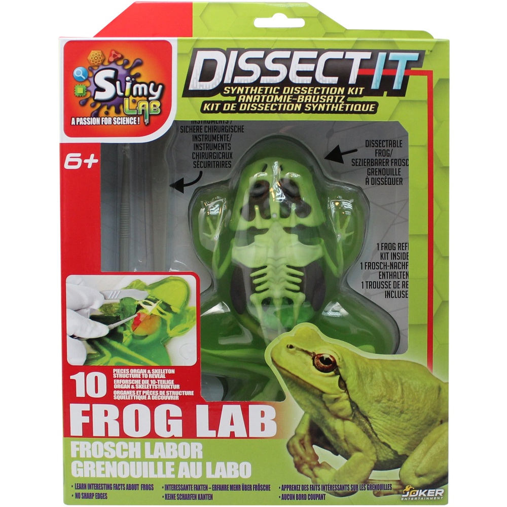 virtual frog dissection games