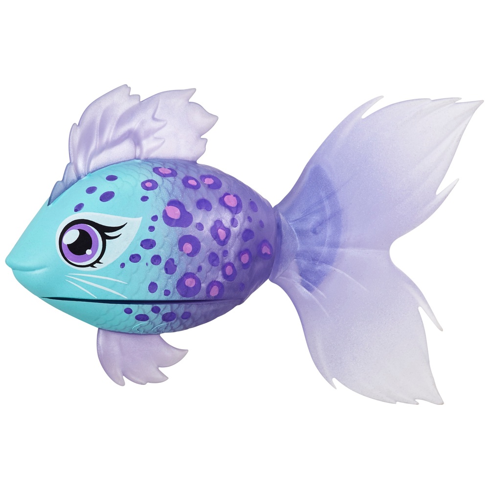 live pet fish near me
