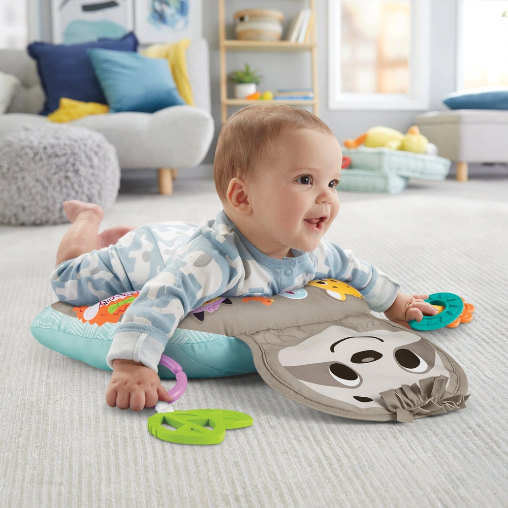 Fisher-Price Babyspielzeug Faultierspielkissen mit Vibration und Musik |  Smyths Toys Deutschland