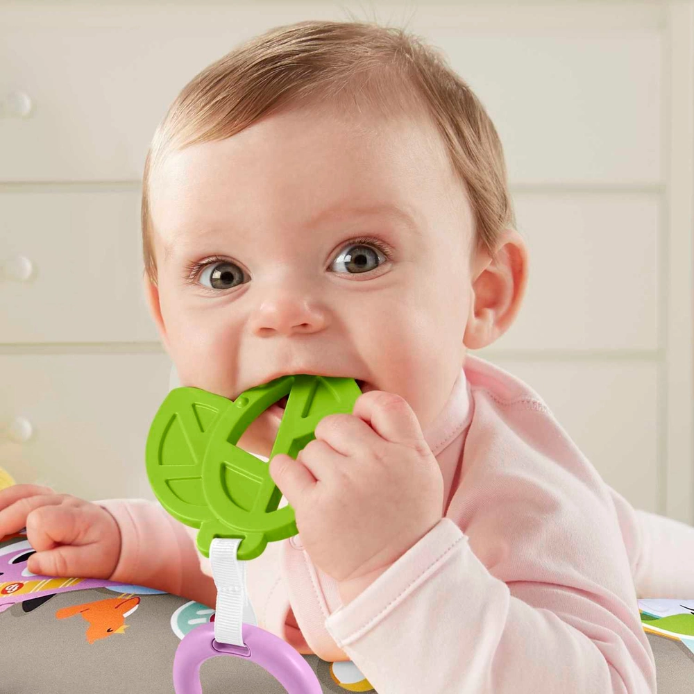 Fisher-Price Babyspielzeug Faultierspielkissen mit Vibration und Musik |  Smyths Toys Deutschland