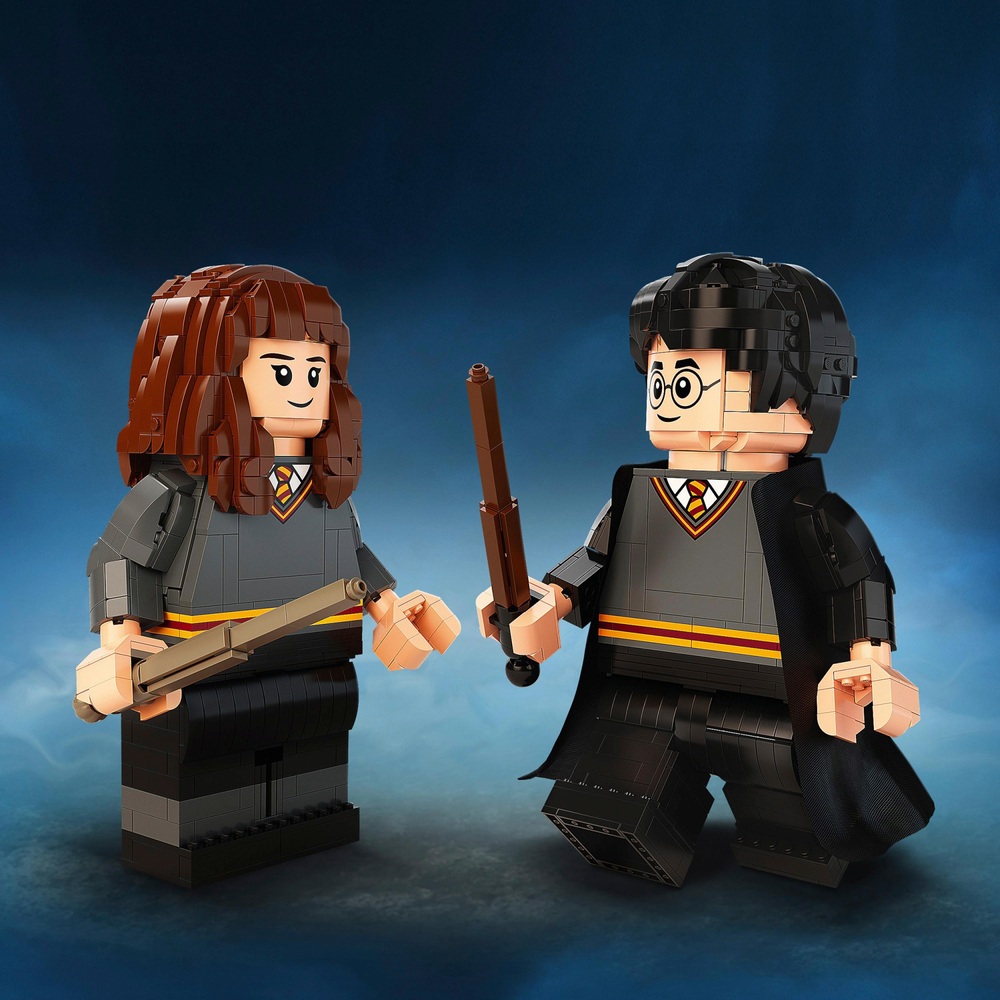 LEGO 76393 Harry Potter: Harry Potter & Hermione Granger Buildable ...