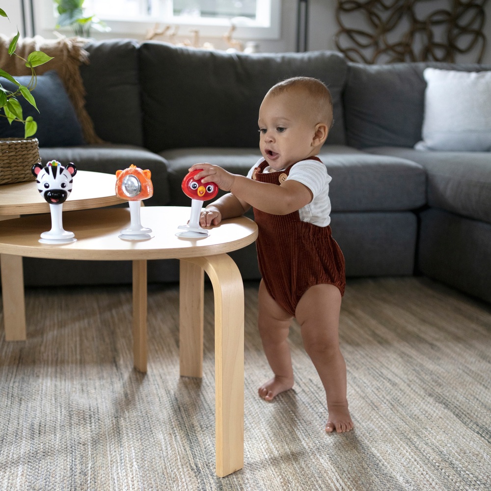 Baby Einstein Rattle Set Take-Along Rattle & Jingle Trio | Smyths Toys ...