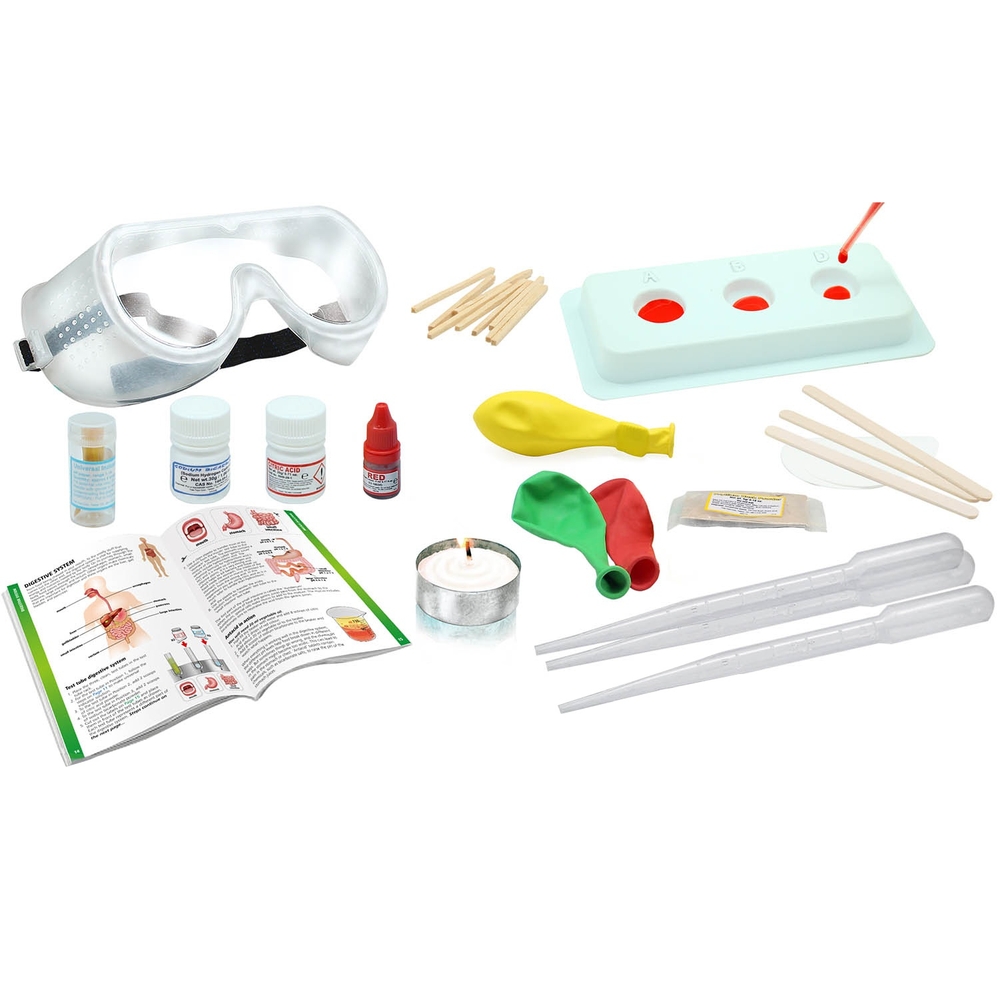 Wild Science The Amazing Human Body Set Smyths Toys UK