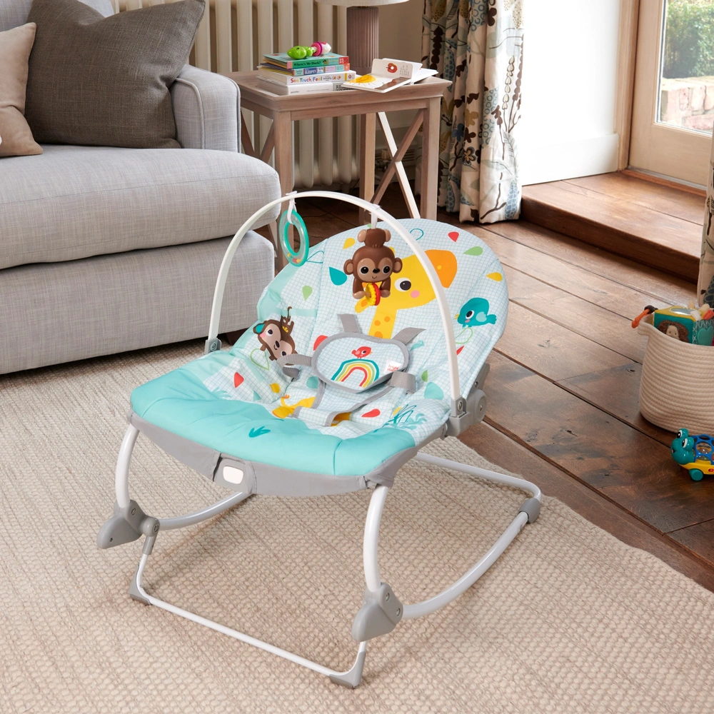 Bright Starts What Are Baby Bouncers For Bright Starts Baby To