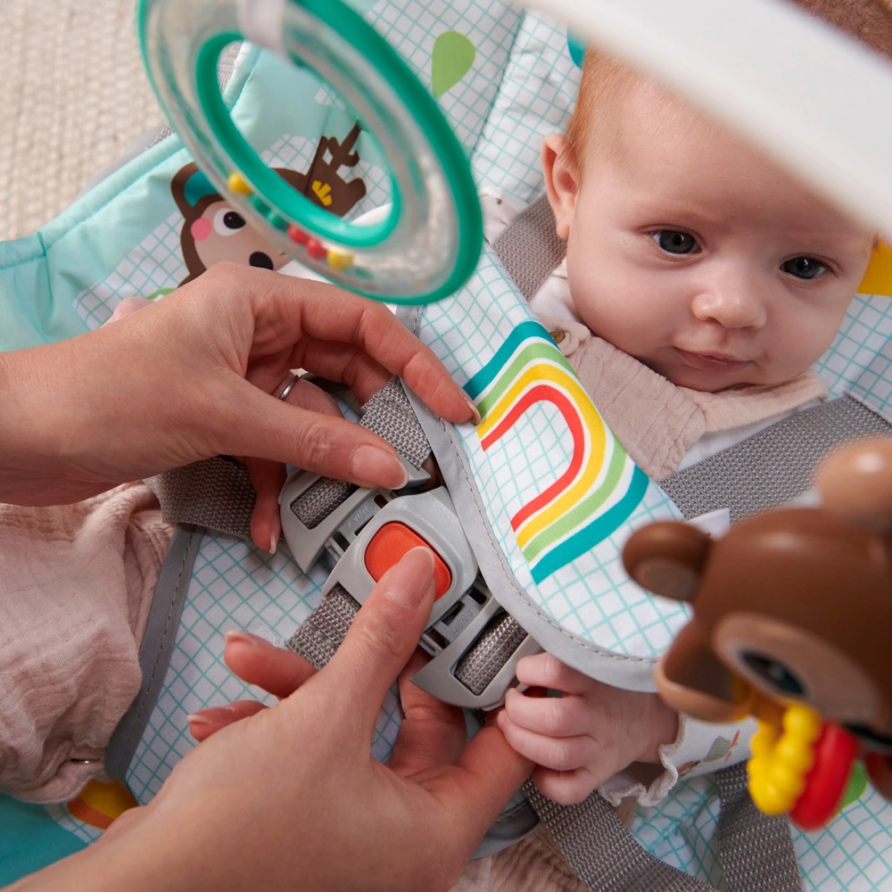 Bright Starts Monkey Baby Rocker Bright Starts Baby To Toddler