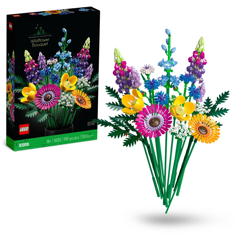 anise plant Anise Hyssop | Purple | Plant