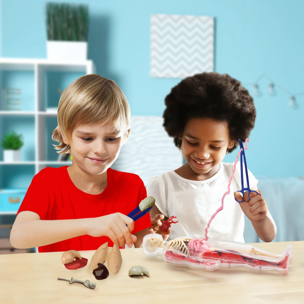 Wild Science Kit Squeezy Human Body Anatomy Set with Discovery
