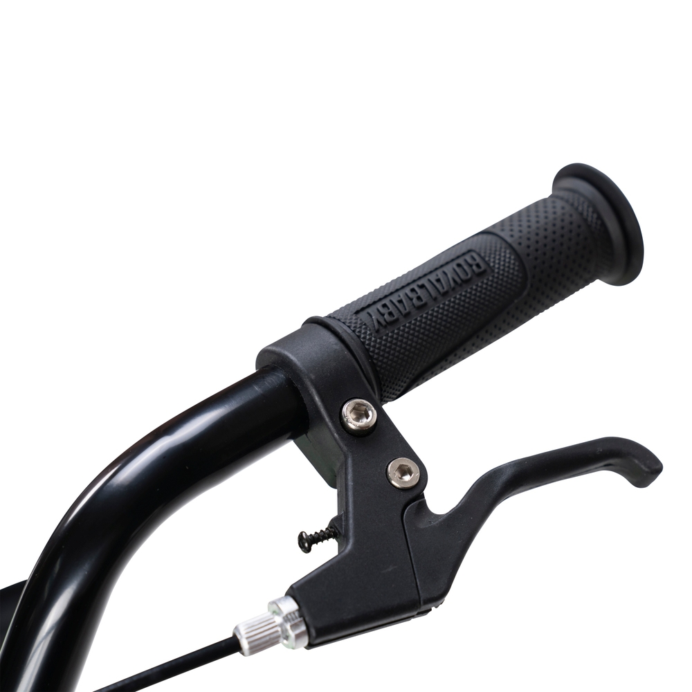 20 inch freestyle bike