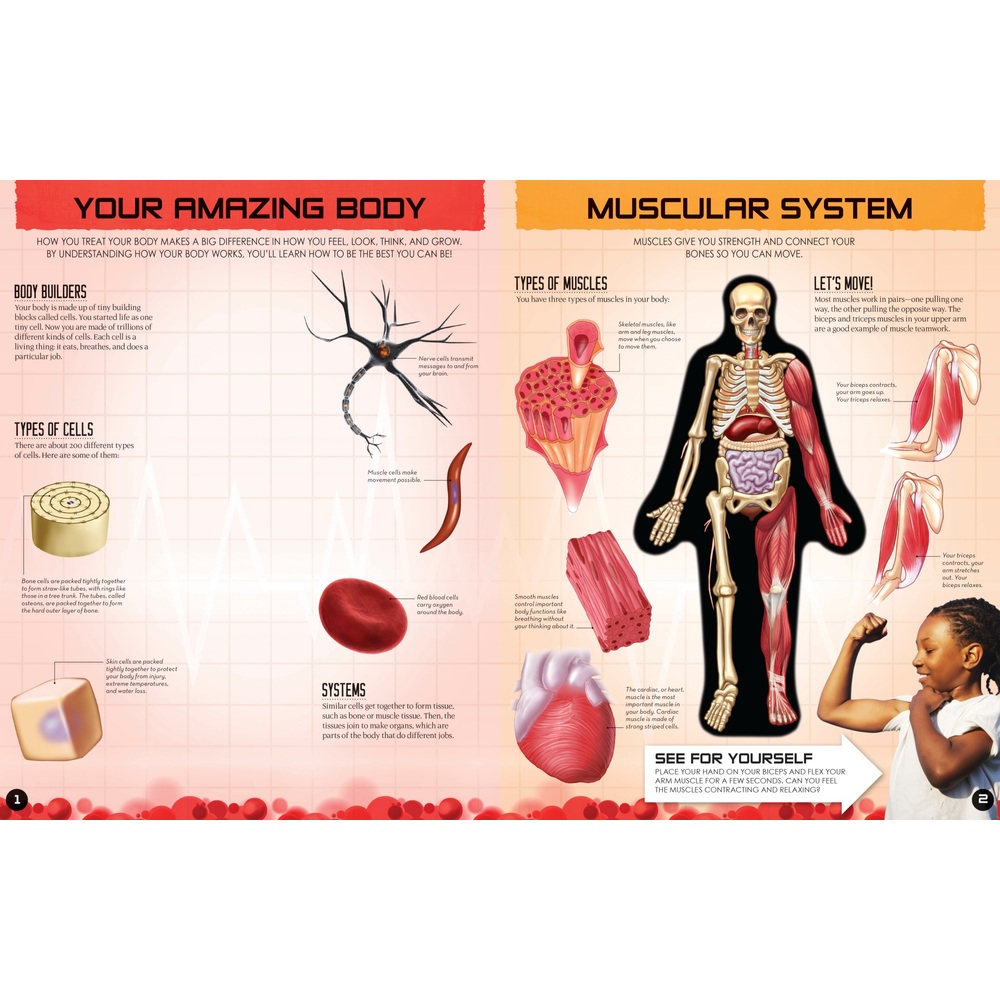 Inside Out Human Body Learning Book Smyths Toys UK