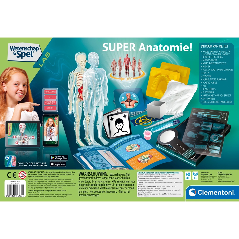 Miniland Anatomieset 50 Cm – 11-teiliges Lernmodell Des Menschlichen Körpers Mit Didaktischer Anleitung