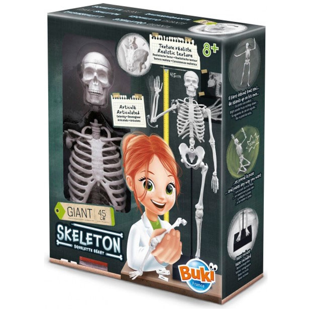 Buki Squelette Géant Articulé 45 cm Smyths Toys France