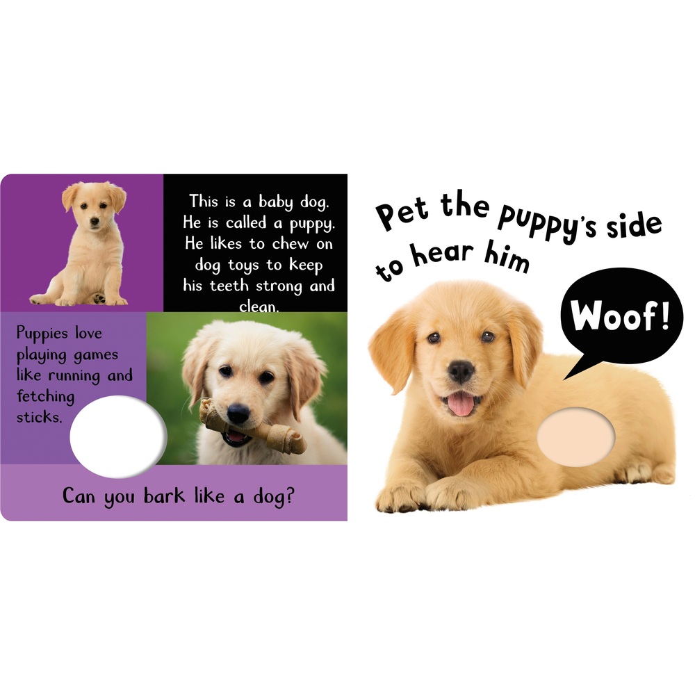 Noisy Baby Animals My First Touch and Feel Sound Book Smyths Toys UK