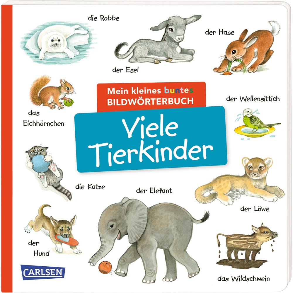 Mein Kleines Buntes Bildwörterbuch Sortiert | Smyths Toys Österreich