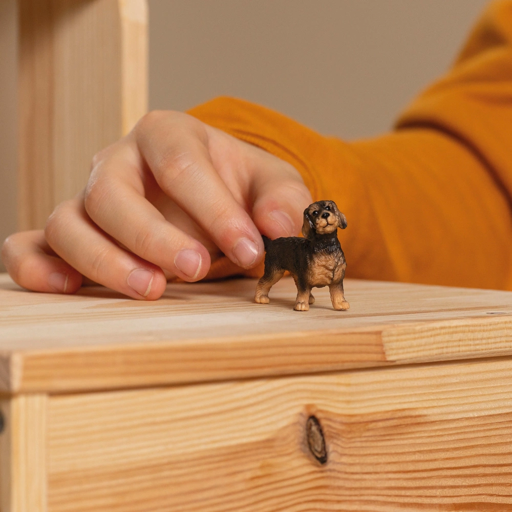 Teckel (poil dur), statue chien de base en bois, en édition limitée, ArtDog - France
