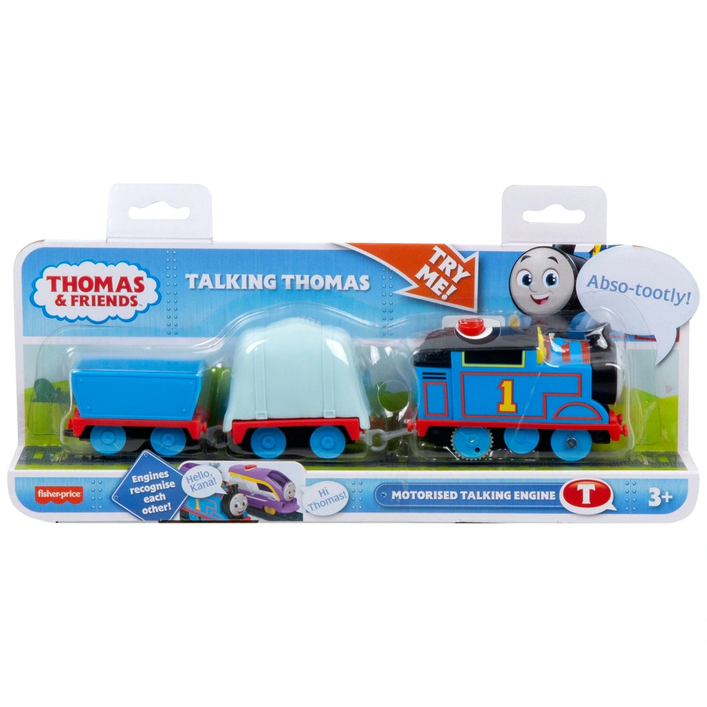 Thomas Friends Talking Motorised Train Engine Thomas Smyths