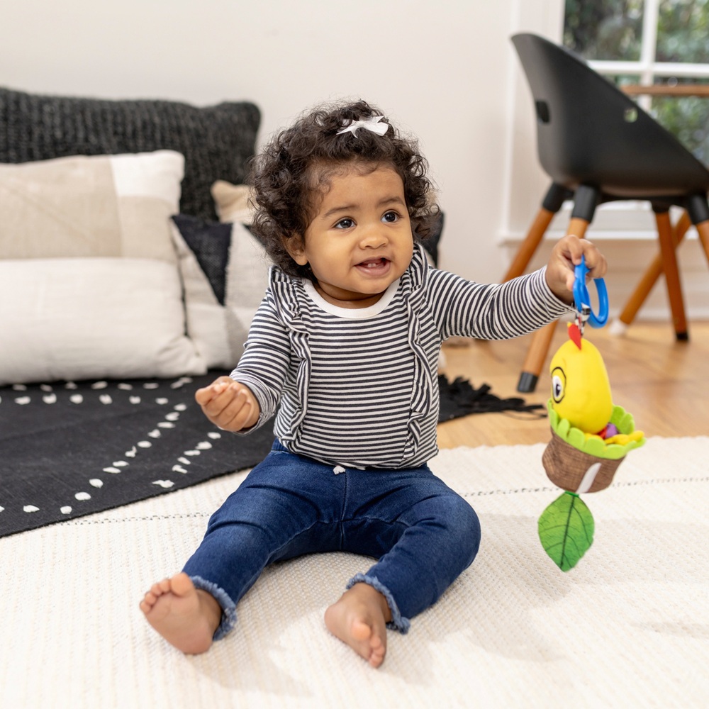 Baby einstein balancing cal deals