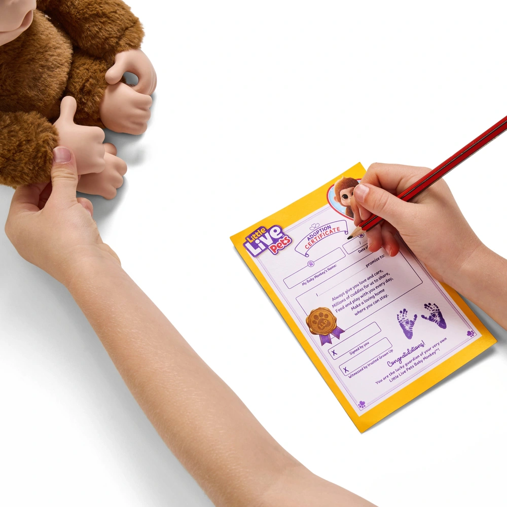 Little Live Pets Mango – Le Singe Interactif Super Rigolo, 50 Sons Et Mouvements De Bouche, Chatouille-le Et Il Fait Des Bruits Marrants !