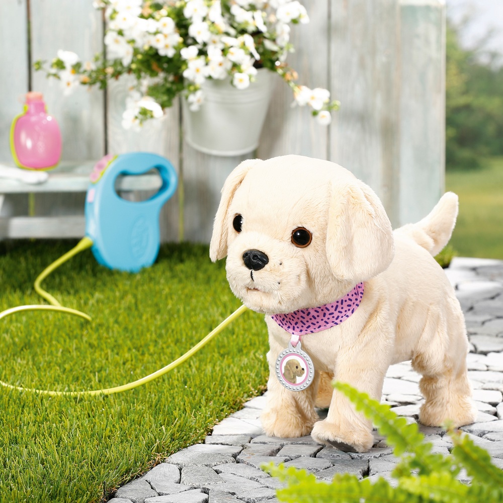 BABY born Interaktiver Welpe Mein Hund Lucky mit Box | Smyths Toys