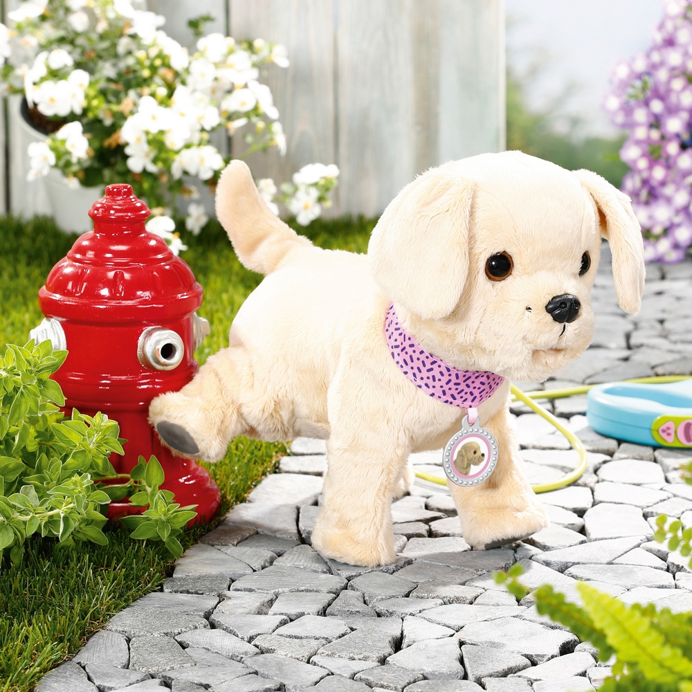 BABY born Interaktiver Welpe Mein Hund Lucky mit Box | Smyths Toys