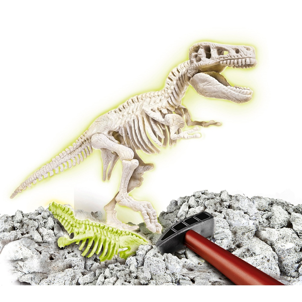 Einfaches Dinosaurier Skelett Ausgrabungs Set Dinosaurier Kinderspielzeug 